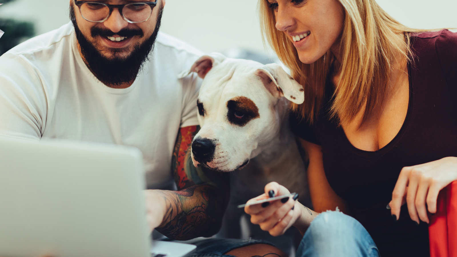 Crie Seu Pet Shop Online com Site de Vendas