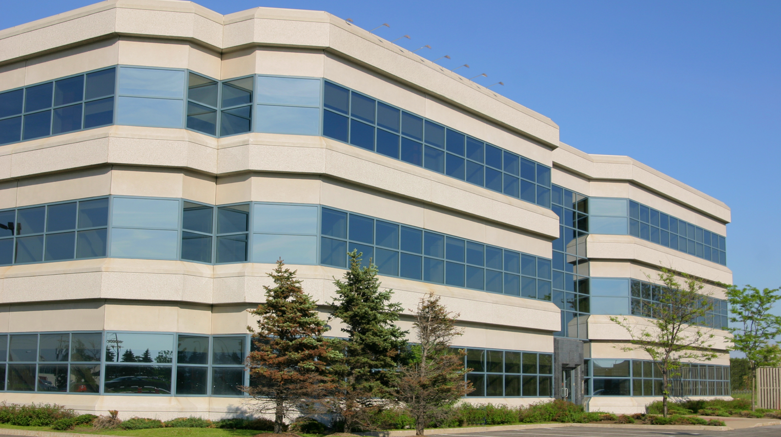 Criação de site institucional em João Pessoa