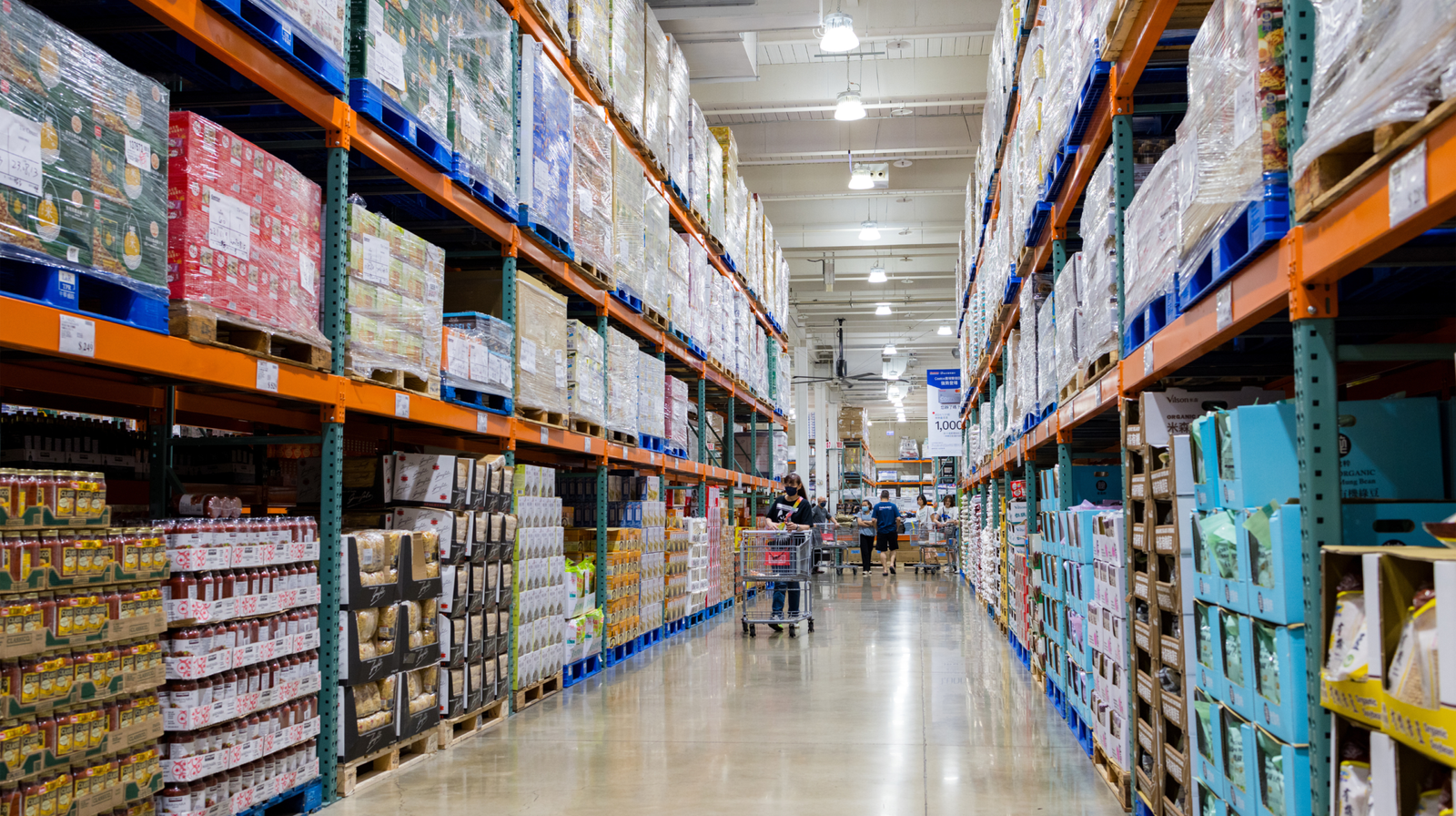 Criação de Loja Virtual para Atacado e Varejo em João Pessoa