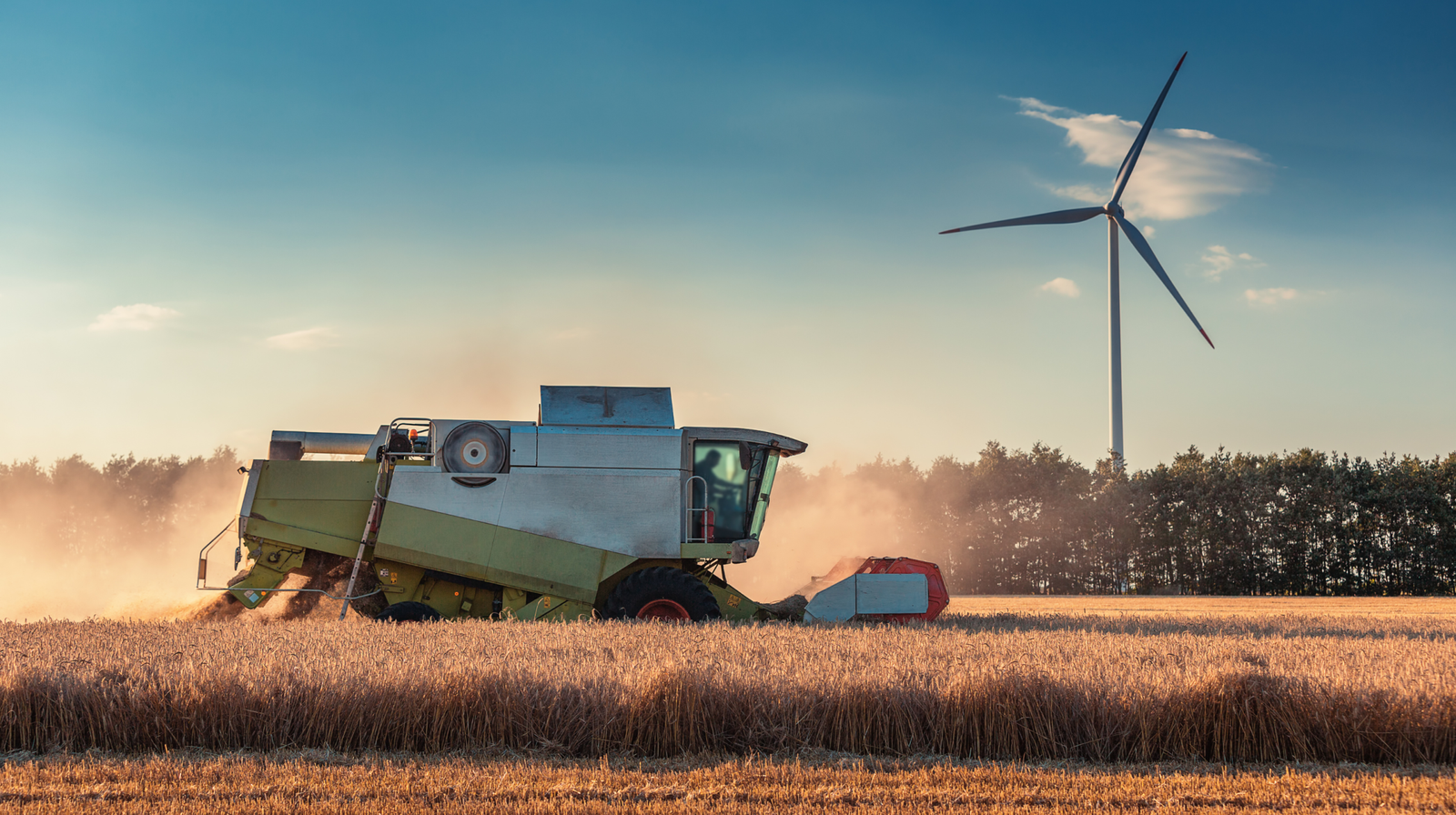 SEO para agroindústria em Petrolina