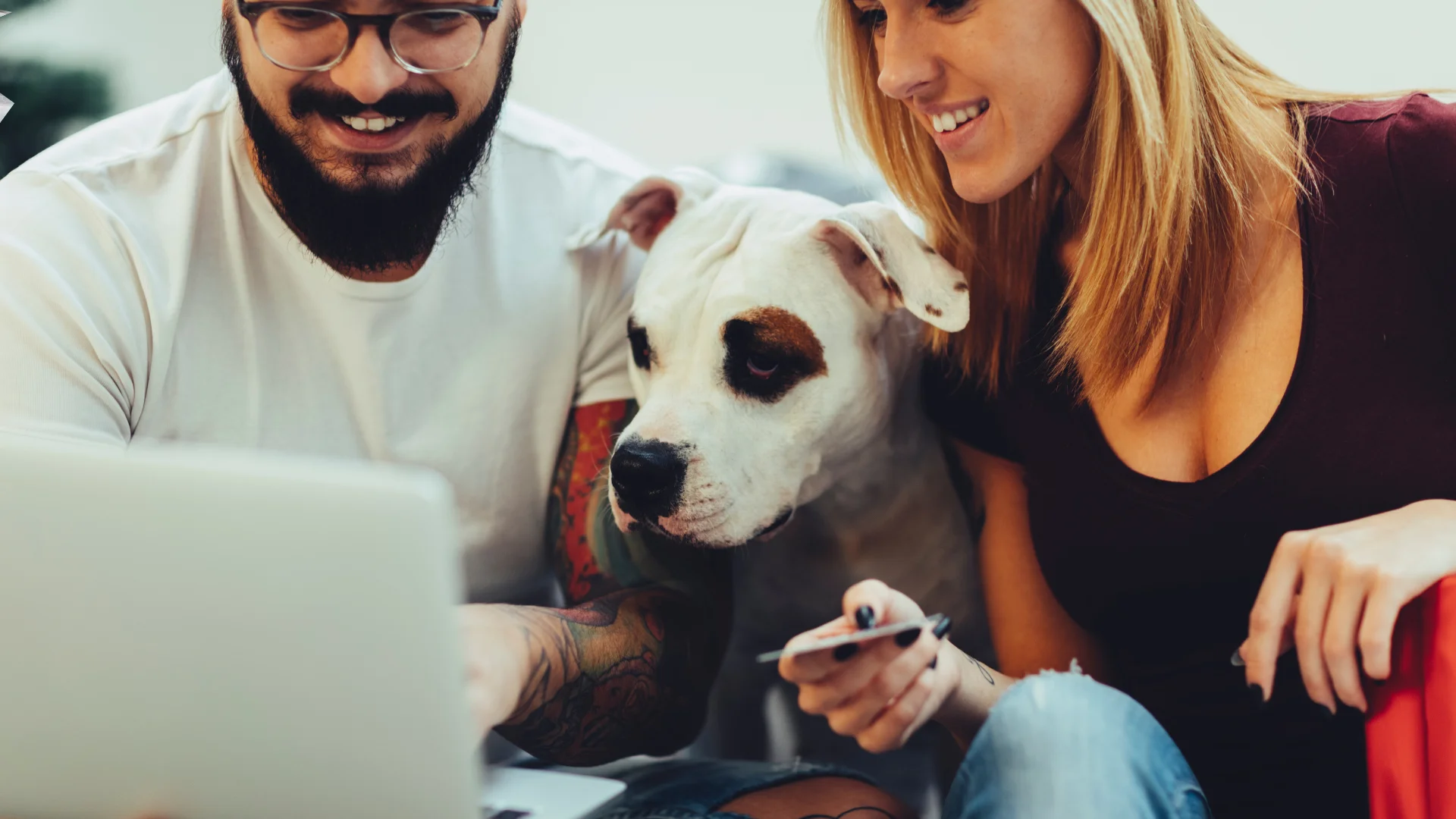 Crie Seu Pet Shop Online com Site de Vendas